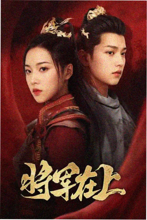 双面证词 更新至14集在线观看